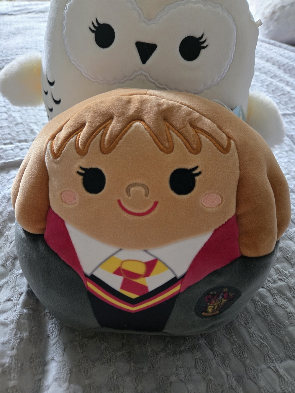 Harry Potter Squishmallows Hermione & Hedwig